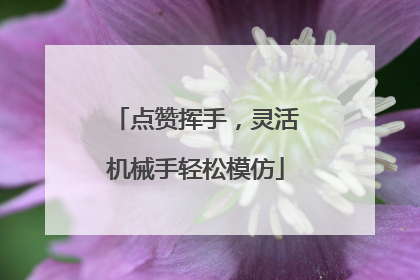 点赞挥手，灵活机械手轻松模仿