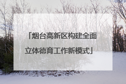 烟台高新区构建全面立体德育工作新模式