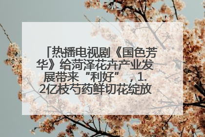 热播电视剧《国色芳华》给菏泽花卉产业发展带来“利好”，1.2亿枝芍药鲜切花绽放“国色芳华”