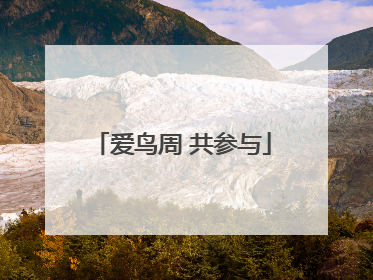 爱鸟周 共参与