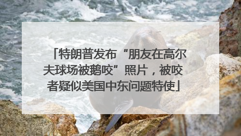 特朗普发布“朋友在高尔夫球场被鹅咬”照片，被咬者疑似美国中东问题特使