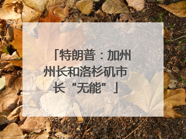 特朗普：加州州长和洛杉矶市长“无能”