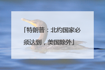 特朗普：北约国家必须达到，美国除外
