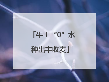 牛！“0”水种出丰收麦