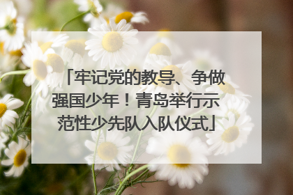 牢记党的教导、争做强国少年！青岛举行示范性少先队入队仪式