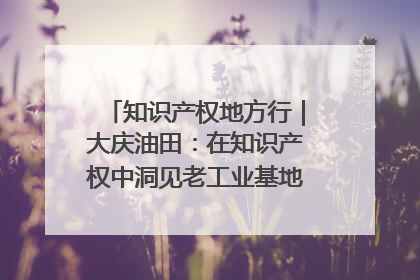 知识产权地方行｜大庆油田：在知识产权中洞见老工业基地的 “创新密码”