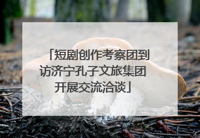 短剧创作考察团到访济宁孔子文旅集团开展交流洽谈