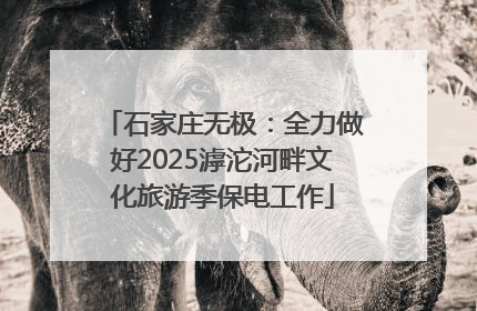 石家庄无极：全力做好2025滹沱河畔文化旅游季保电工作