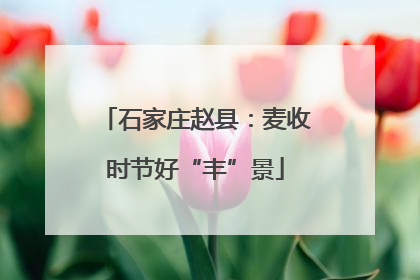 石家庄赵县：麦收时节好“丰”景