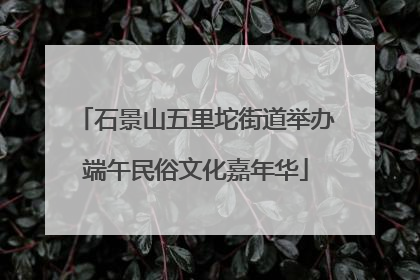 石景山五里坨街道举办端午民俗文化嘉年华