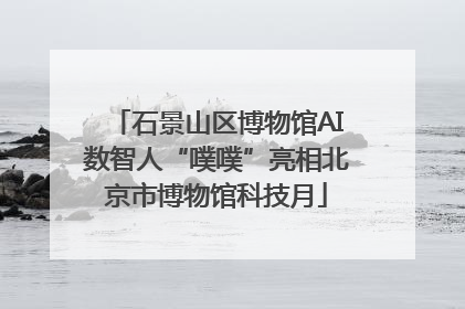 石景山区博物馆AI数智人“噗噗”亮相北京市博物馆科技月
