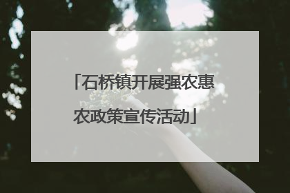 石桥镇开展强农惠农政策宣传活动