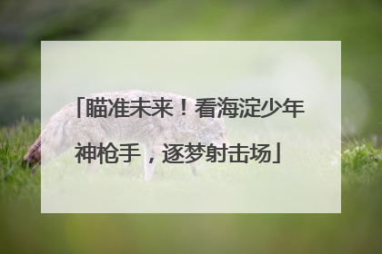 瞄准未来！看海淀少年神枪手，逐梦射击场
