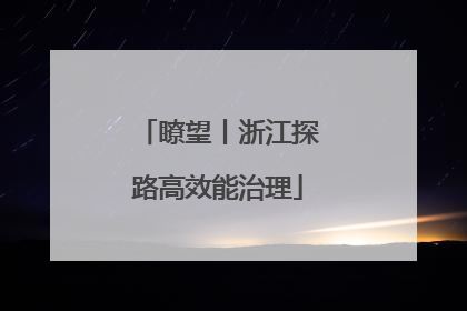 瞭望丨浙江探路高效能治理