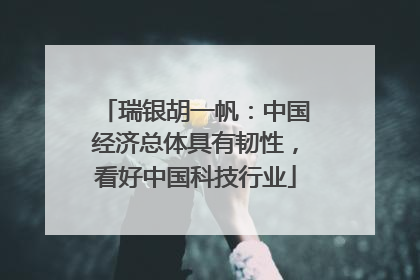 瑞银胡一帆：中国经济总体具有韧性，看好中国科技行业