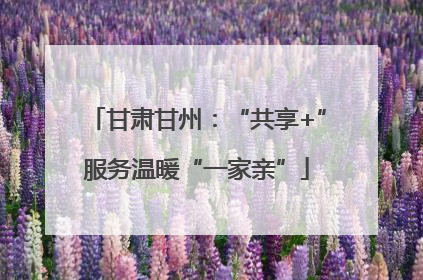 甘肃甘州：“共享+”服务温暖“一家亲”
