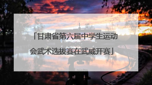 甘肃省第六届中学生运动会武术选拔赛在武威开赛