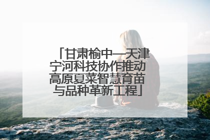 甘肃榆中—天津宁河科技协作推动高原夏菜智慧育苗与品种革新工程