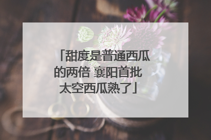 甜度是普通西瓜的两倍 襄阳首批太空西瓜熟了