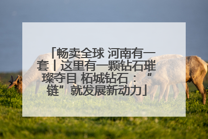 畅卖全球 河南有一套丨这里有一颗钻石璀璨夺目 柘城钻石：“链”就发展新动力