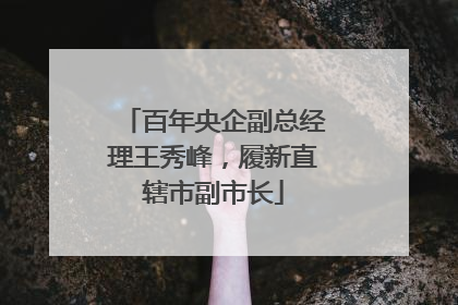 百年央企副总经理王秀峰，履新直辖市副市长