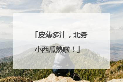皮薄多汁，北务小西瓜熟啦！