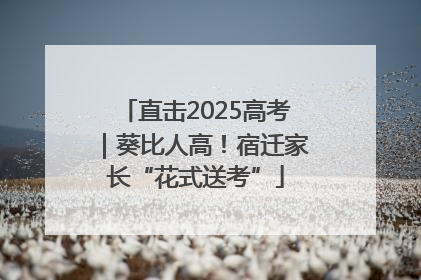 直击2025高考｜葵比人高！宿迁家长“花式送考”