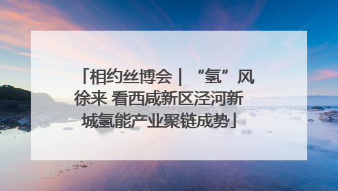 相约丝博会｜“氢”风徐来 看西咸新区泾河新城氢能产业聚链成势