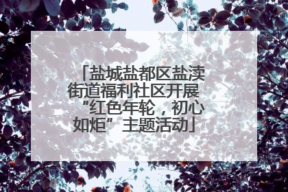 盐城盐都区盐渎街道福利社区开展“红色年轮，初心如炬”主题活动