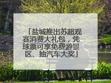 盐城推出苏超观赛消费大礼包，凭球票可享免费游景区、抽汽车大奖