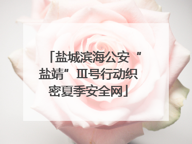 盐城滨海公安“盐靖”Ⅲ号行动织密夏季安全网