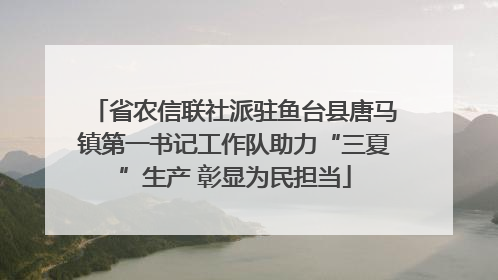 省农信联社派驻鱼台县唐马镇第一书记工作队助力“三夏”生产 彰显为民担当