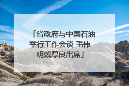 省政府与中国石油举行工作会谈 毛伟明戴厚良出席