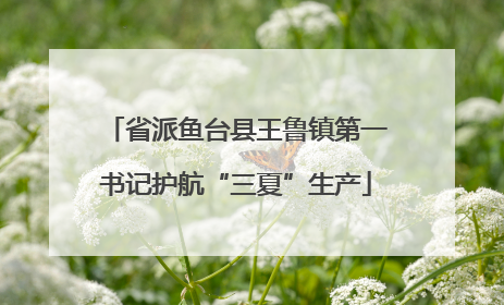 省派鱼台县王鲁镇第一书记护航“三夏”生产