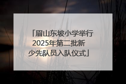 眉山东坡小学举行2025年第二批新少先队员入队仪式
