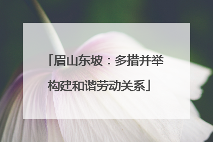 眉山东坡：多措并举构建和谐劳动关系