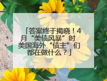 答案终于揭晓！4月“美债风暴”时 美国海外“债主”们都在做什么？