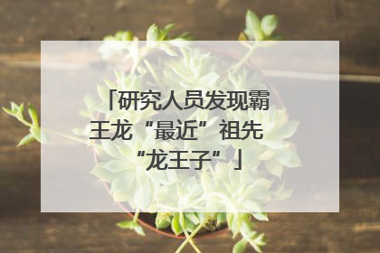 研究人员发现霸王龙“最近”祖先“龙王子”