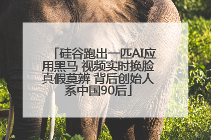 硅谷跑出一匹AI应用黑马 视频实时换脸真假莫辨 背后创始人系中国90后