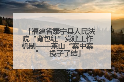 福建省泰宁县人民法院“背包红”党建工作机制——茶山“案中案”一揽子了结