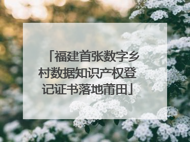 福建首张数字乡村数据知识产权登记证书落地莆田