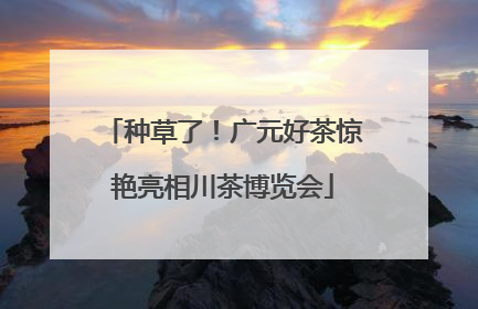 种草了！广元好茶惊艳亮相川茶博览会