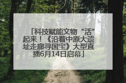 科技赋能文物“活”起来！《沿着中原大遗址走廊寻国宝》大型直播6月14日启幕