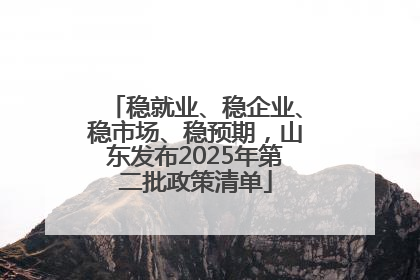 稳就业、稳企业、稳市场、稳预期，山东发布2025年第二批政策清单