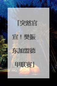 突然官宣！樊振东加盟德甲联赛