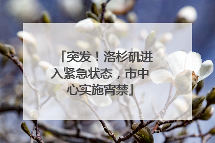 突发！洛杉矶进入紧急状态，市中心实施宵禁