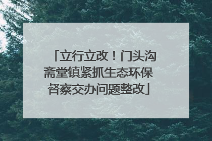 立行立改！门头沟斋堂镇紧抓生态环保督察交办问题整改