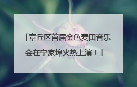 章丘区首届金色麦田音乐会在宁家埠火热上演！