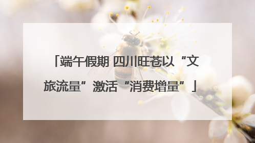 端午假期 四川旺苍以“文旅流量”激活“消费增量”