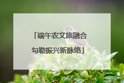 端午农文旅融合 勾勒振兴新脉络